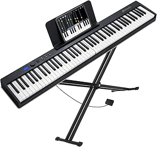 Provecta Piano Keyboard 88 Keys Foldable Electronic Keyboard Digital Piano with Stand,Sustain Pedal,Music Stand and Carryi...