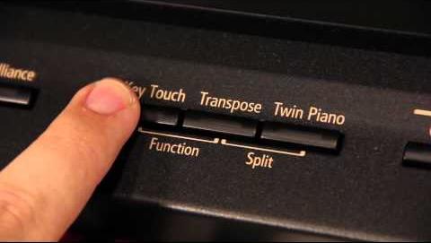 Roland Digital Pianos: A Comprehensive Guide for All Players